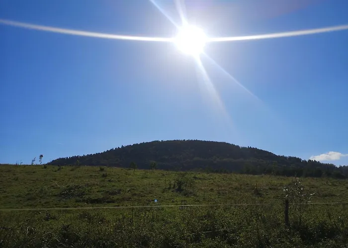 Domek Nasze Miejsce